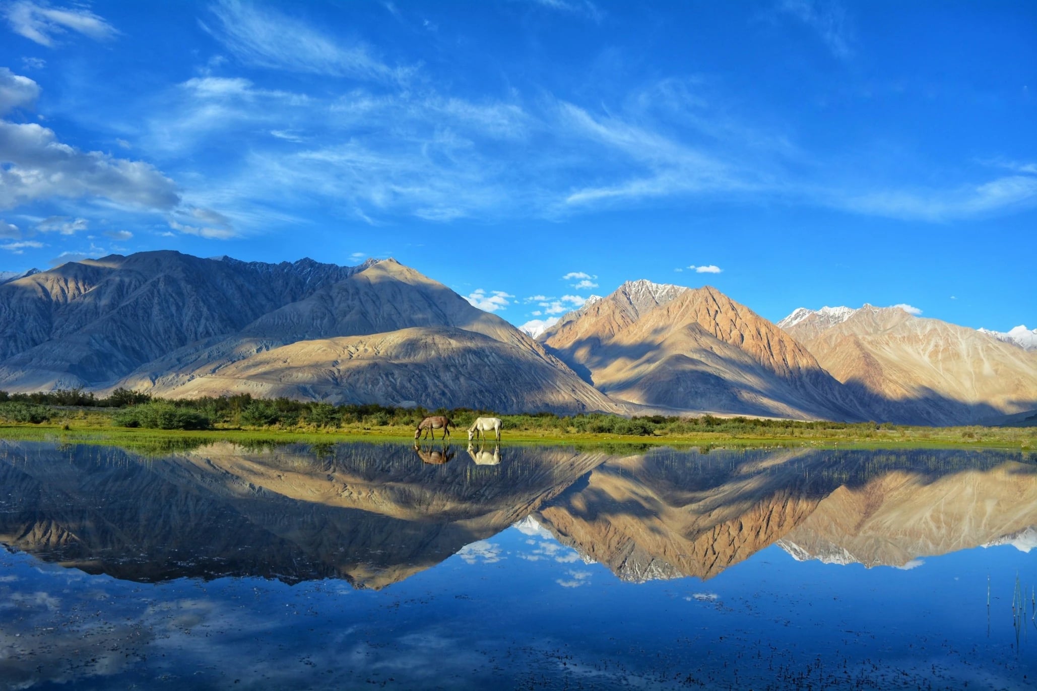 leh-ladakh-in-june-2026-complete-travel-guide